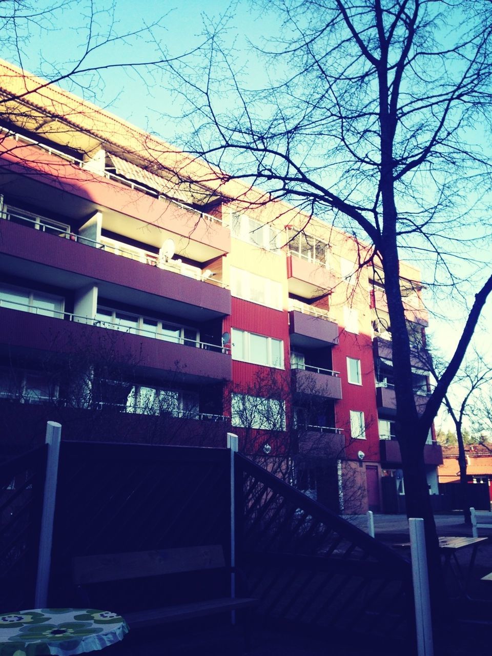 building exterior, architecture, built structure, tree, residential building, low angle view, residential structure, city, building, sky, sunlight, window, house, bare tree, railing, blue, day, outdoors, no people, clear sky