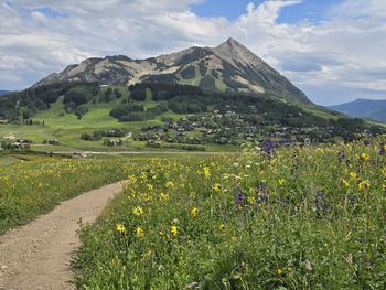 Scenic view of landscape and mountains against sky