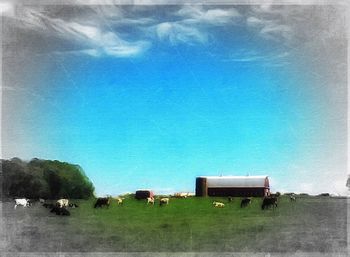 Trees on field against blue sky