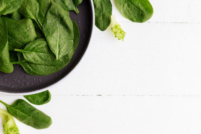 Bowl with fresh green salad leaves, spinach, lettuce, basil on a white background. healthy eating