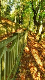 Footbridge over river