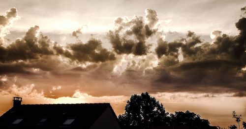Low angle view of silhouette trees against sky
