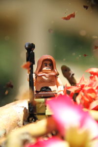 Close-up of stuffed toy