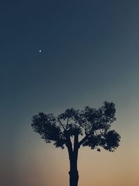 Low angle view of silhouette tree against clear sky