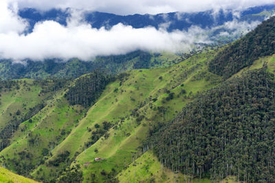 Scenic view of cocora valley against cloudy sky