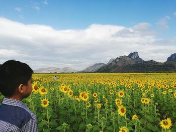 Rear view of man with yellow flowers in field