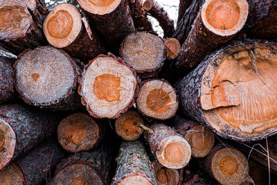 Full frame shot of logs in forest