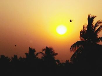 Silhouette bird flying against sky during sunset