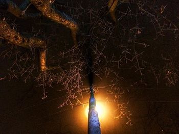 Close-up of fire in the dark