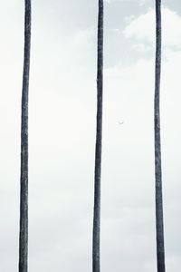 Low angle view of bare trees against sky