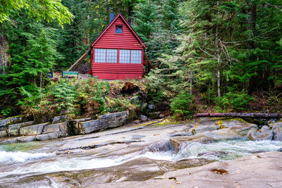 Built structure in forest