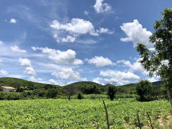 Scenic view of landscape against sky