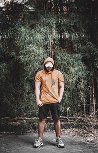 plant