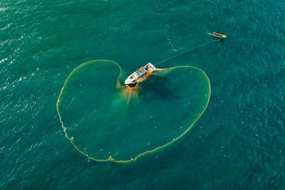 High angle view of turtle in sea