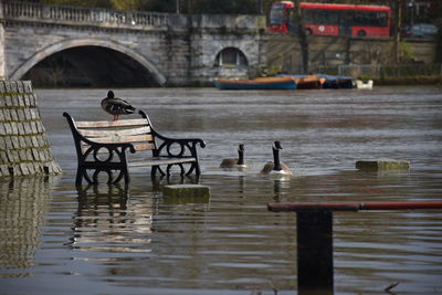 People on bench by river during rainy season