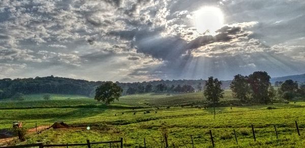 Scenic view of agricultural field against sky