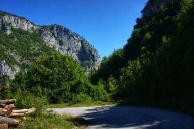 Road by trees against clear blue sky