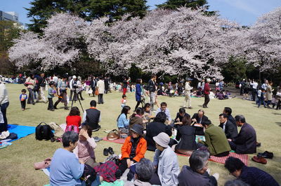 People relaxing in park