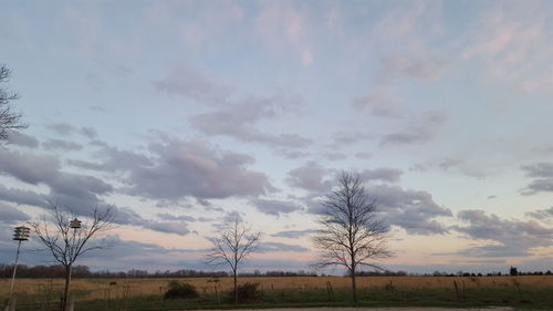 Scenic view of grassy field against cloudy sky