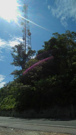 Low angle view of tree against sky