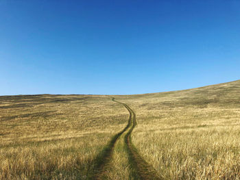 Scenic view of field against clear blue sky