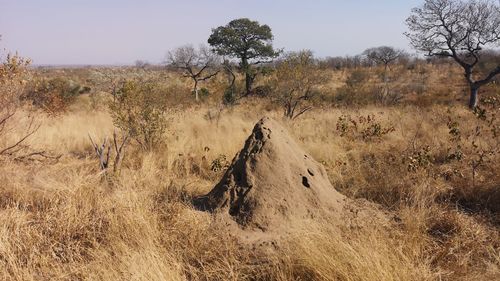 Panoramic view of land against sky