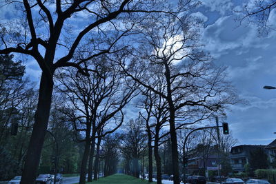 Low angle view of bare trees and buildings against sky