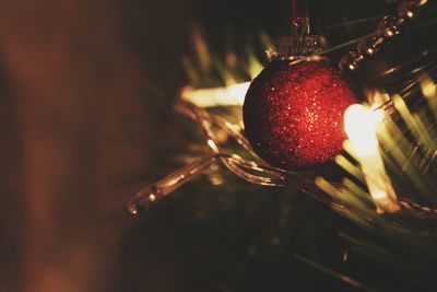 Close-up of christmas decoration