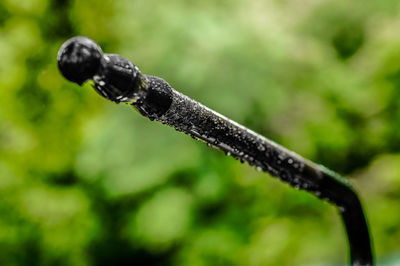 Close-up of water drop on leaf