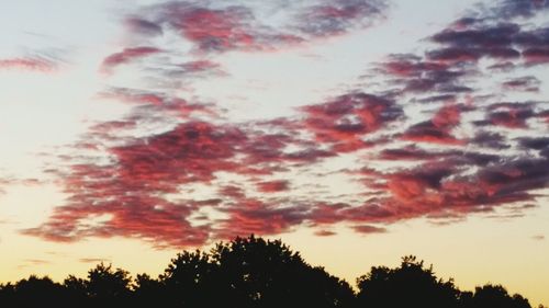 Silhouette of trees at sunset