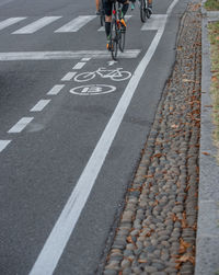 Asphalt road with bike lane stripes