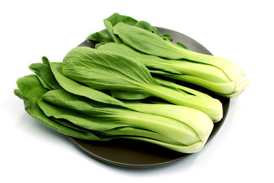 High angle view of green leaf on table
