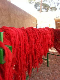 Close up of red leaves