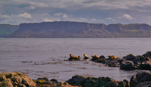 Scenic view of sea against sky