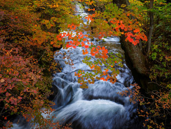 Scenic view of waterfall in forest during autumn