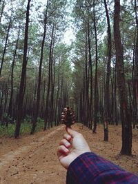 Man holding tree trunk in forest