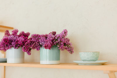 Potted plant on table