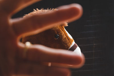 Cropped hand holding stuffed toy