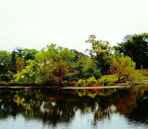 Reflection of trees in calm lake against clear sky