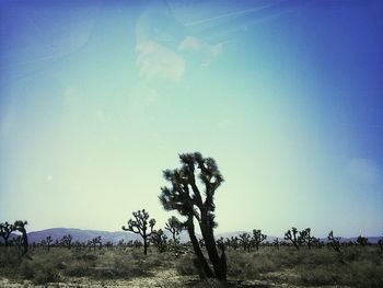 Scenic view of landscape against blue sky