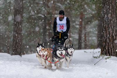 Woman with dog in snow