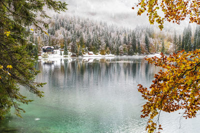 Scenic view of lake in forest during autumn