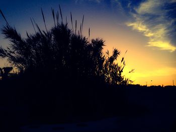 Silhouette of trees against sky at sunset