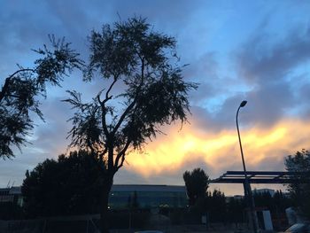 Silhouette of trees against cloudy sky at sunset