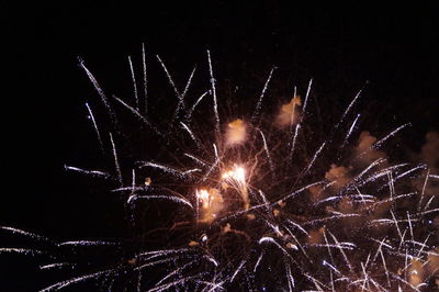 Low angle view of firework display at night