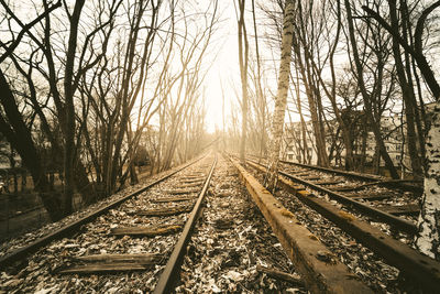 Railroad tracks in winter