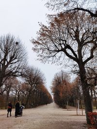 Bare trees in park during autumn against sky