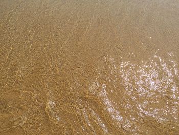 High angle view of beach