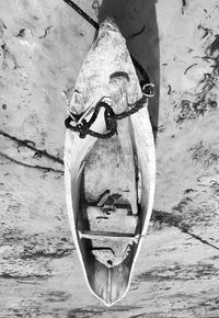 High angle view of boat piroga, tree sculpture, tool, representation 