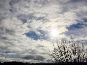 Low angle view of trees against cloudy sky